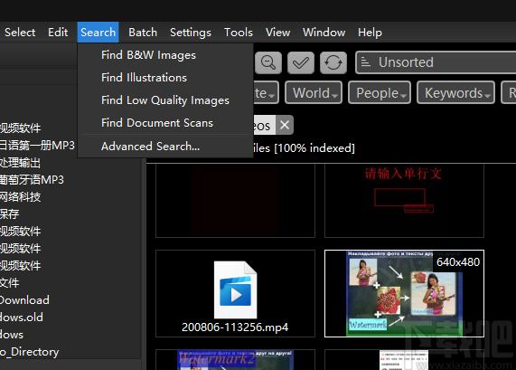 ImageRanger Pro Edition下载,图形查看器,图片浏览,图片查看,图片编辑